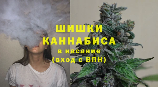 МДПВ Нефтегорск