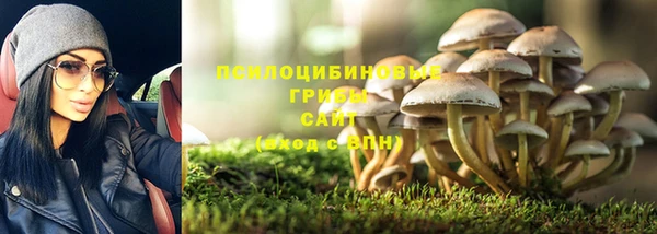 кокс Абдулино