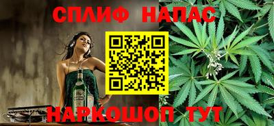 МДПВ Новозыбков