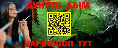 МДПВ Новозыбков