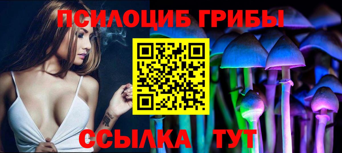Чебаркуль  Псилоцибиновые грибы MAGIC MUSHROOMS  Вход с VPN  Псилоцибиновые грибы Magic Shrooms 